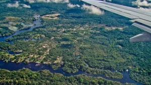 Explorando a Amazônia: Tesouros da Floresta Tropical