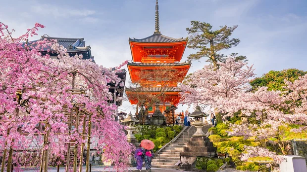 Explorando os Encantos de Tóquio: A Metrópole Vibrante