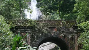 Parque Nacional da Tijuca: Tesouro Verde do Rio